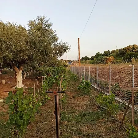 Ktima Karamouzis * Petalidi